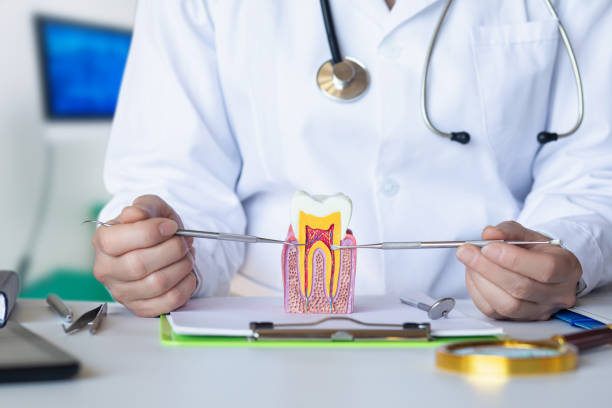 Best Mobile Emergency Dentist in World Golf Village, FL